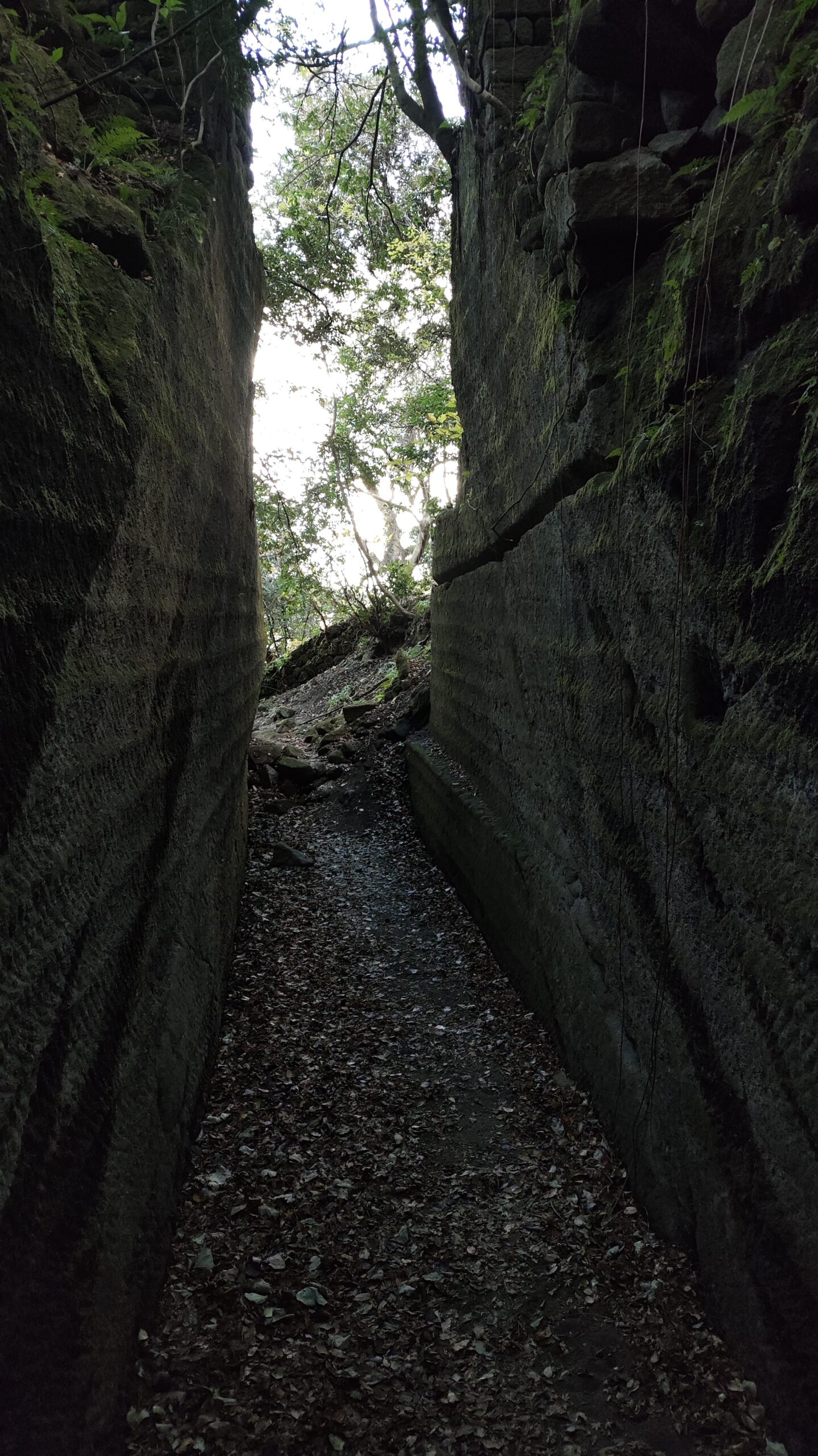Kiritoshi stone pathways on Mount Nokogiri